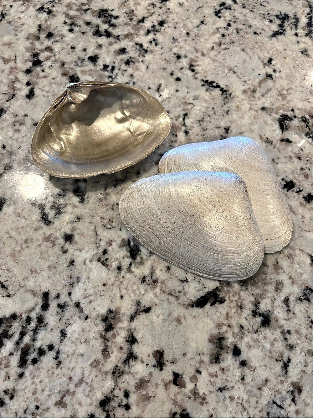 Metallic Shell-Shaped Accessory Set